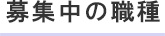 募集中の職種